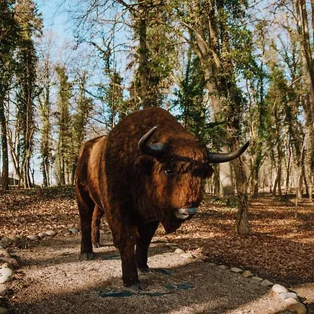 Gospodarstwo agroturystyczne U Krystyny
